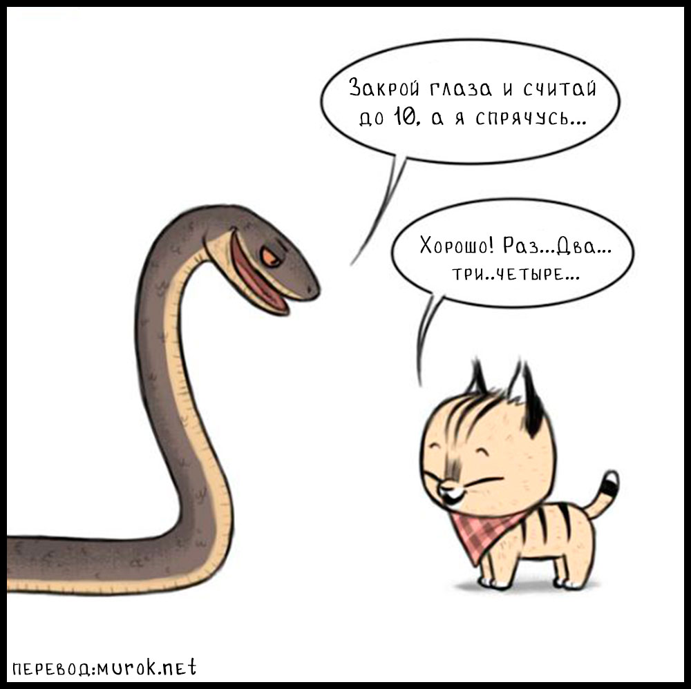 брут и пикси