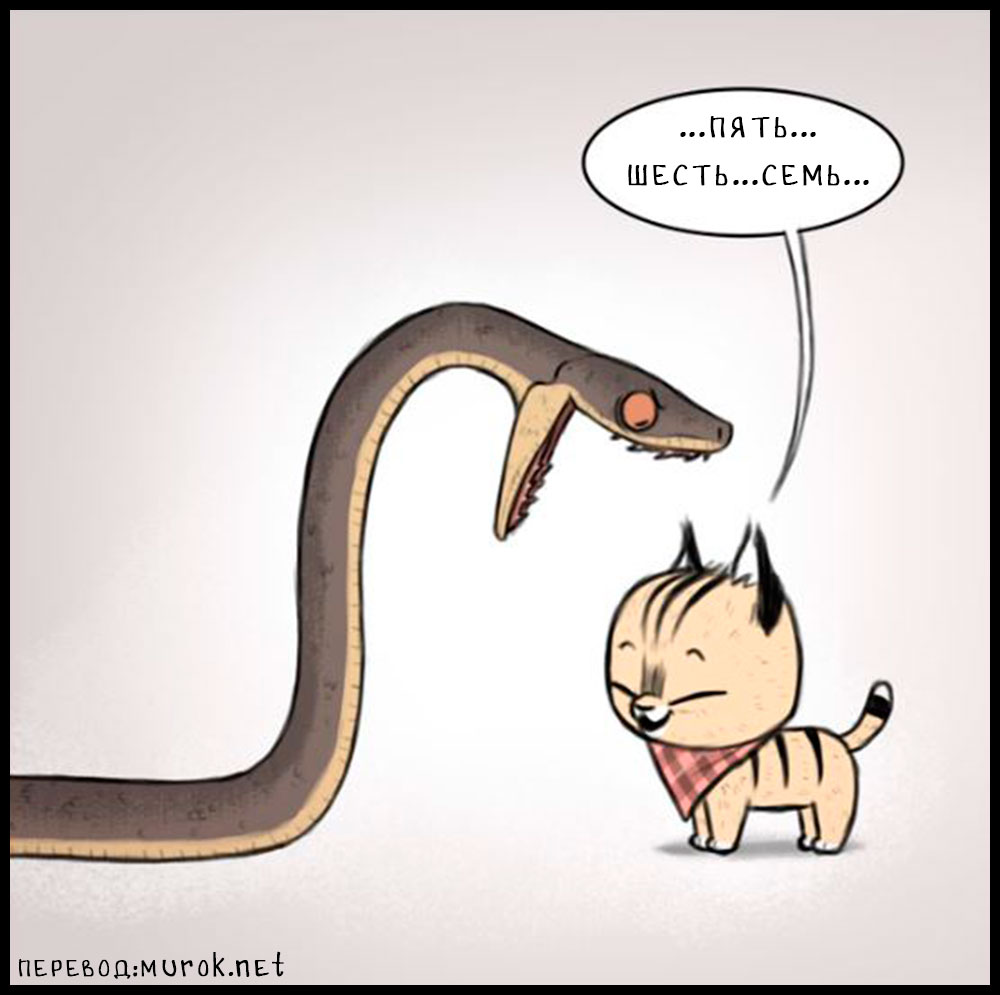 брут и пикси