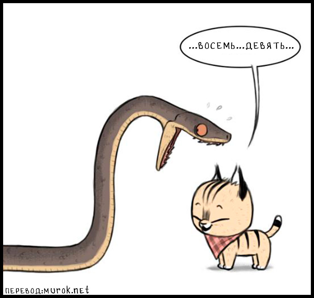 брут и пикси