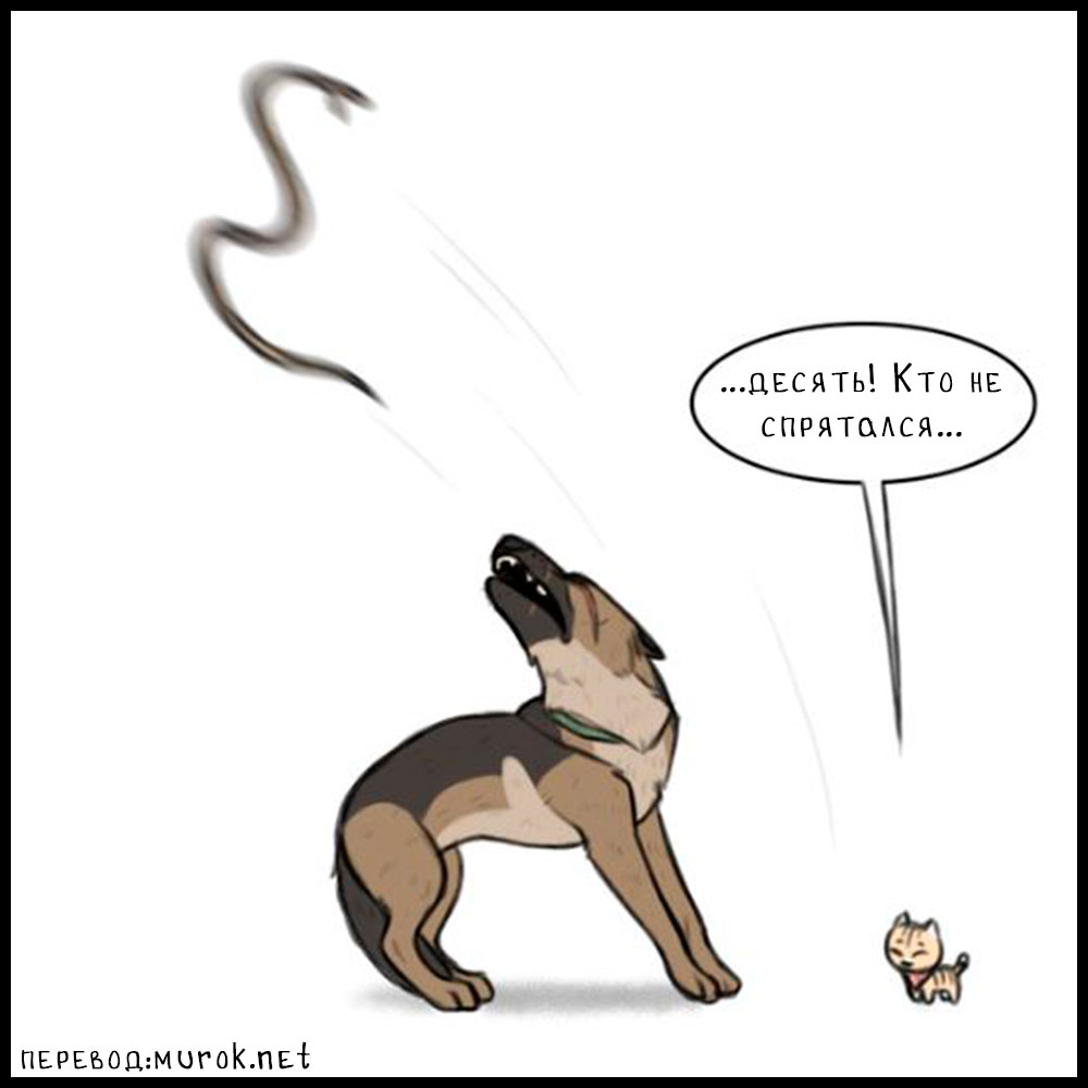 брут и пикси