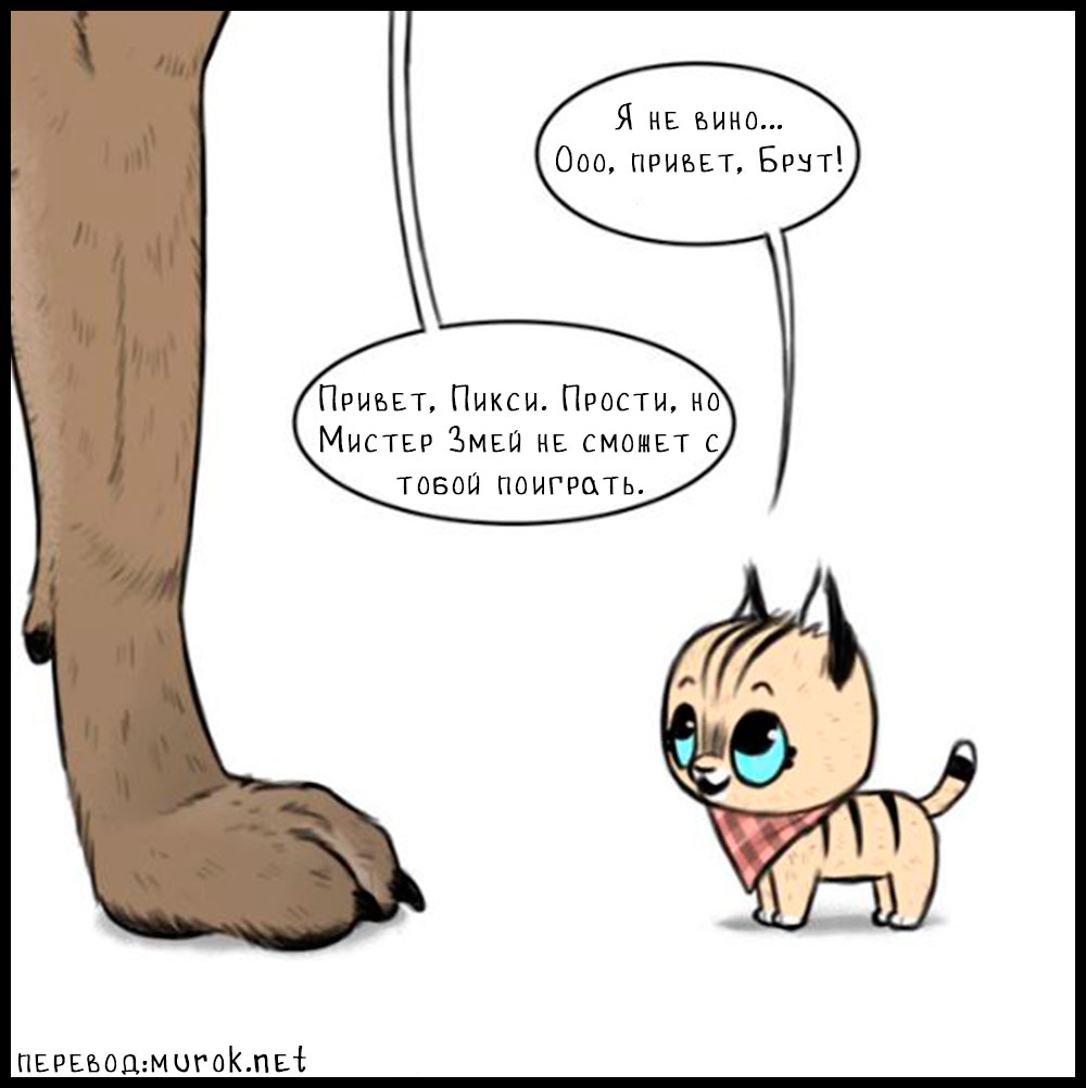 брут и пикси