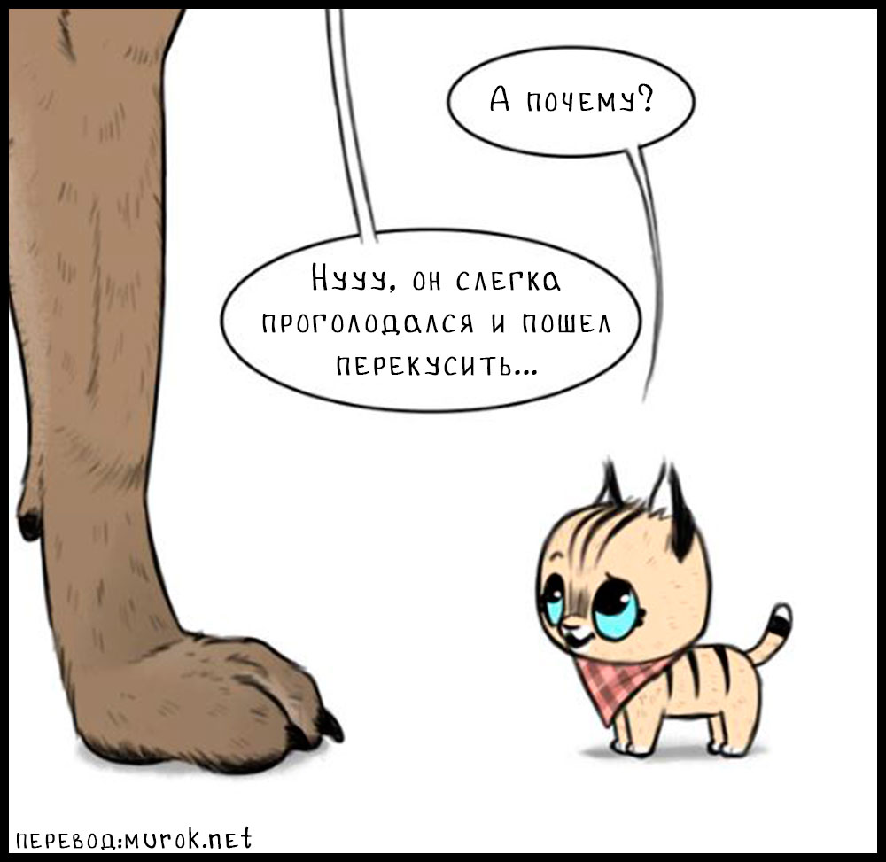 брут и пикси