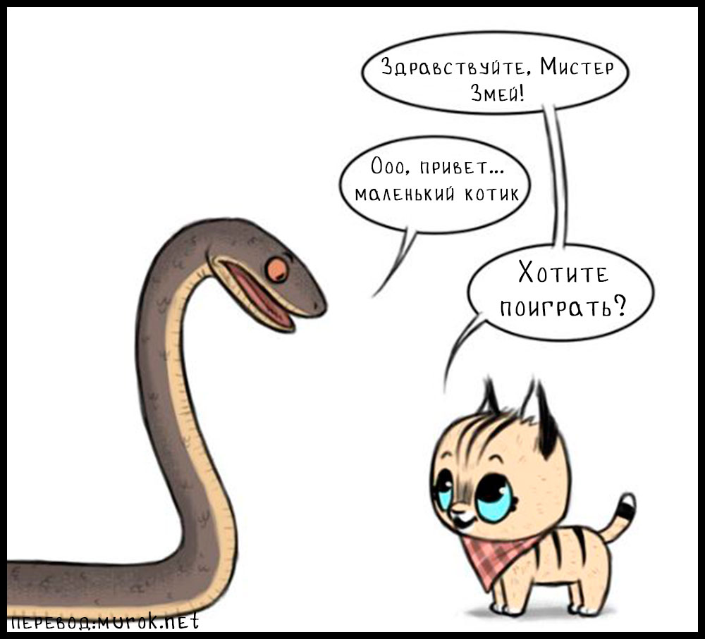 брут и пикси