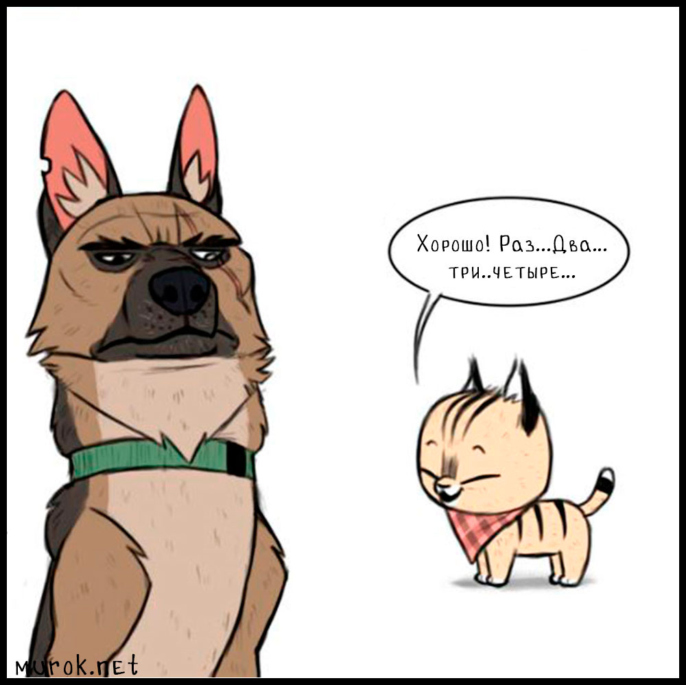 брут и пикси