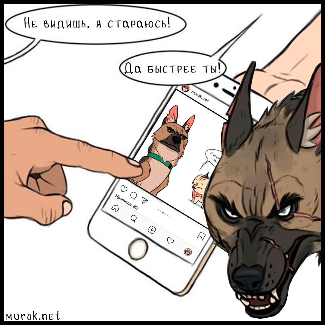 брут и пикси