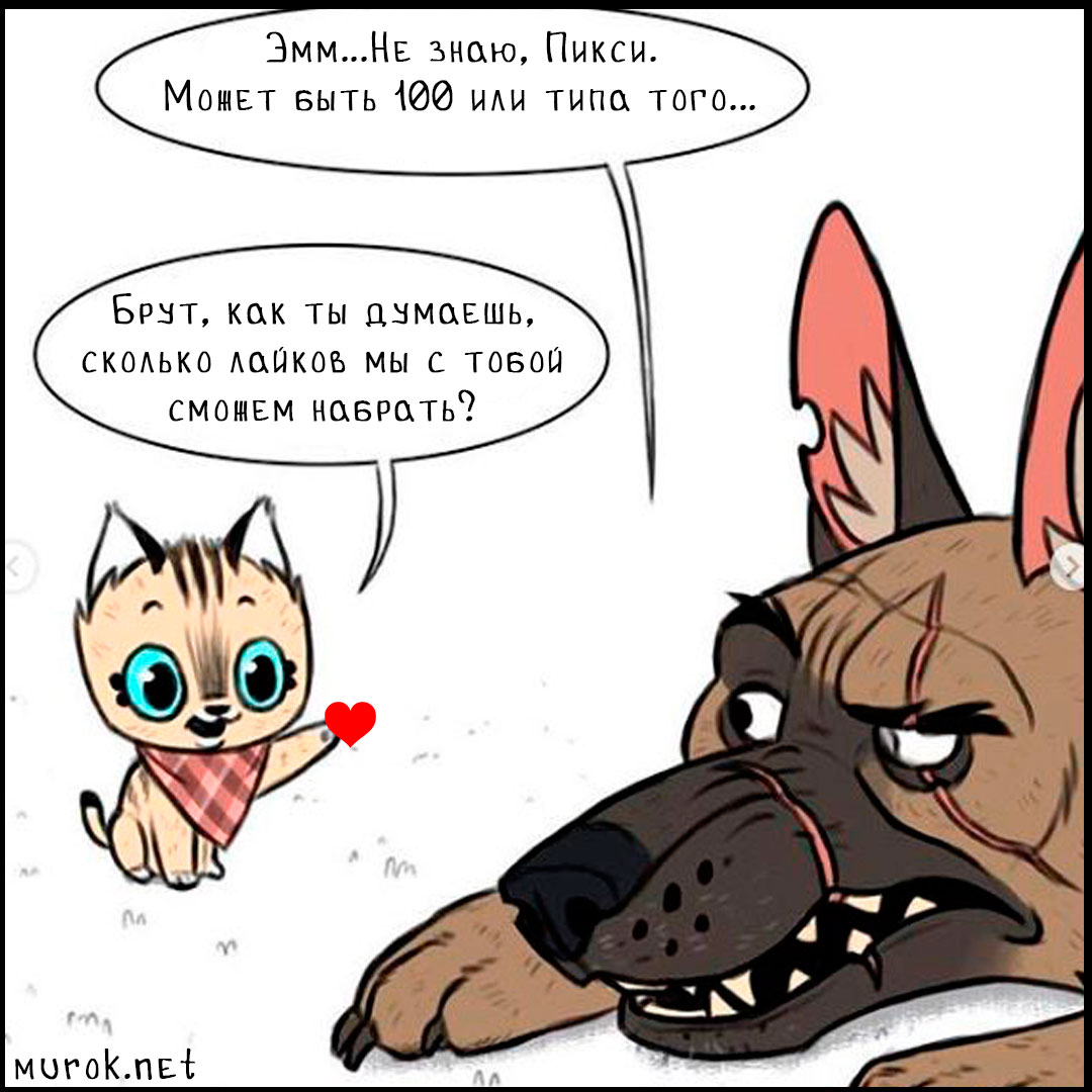 брут и пикси