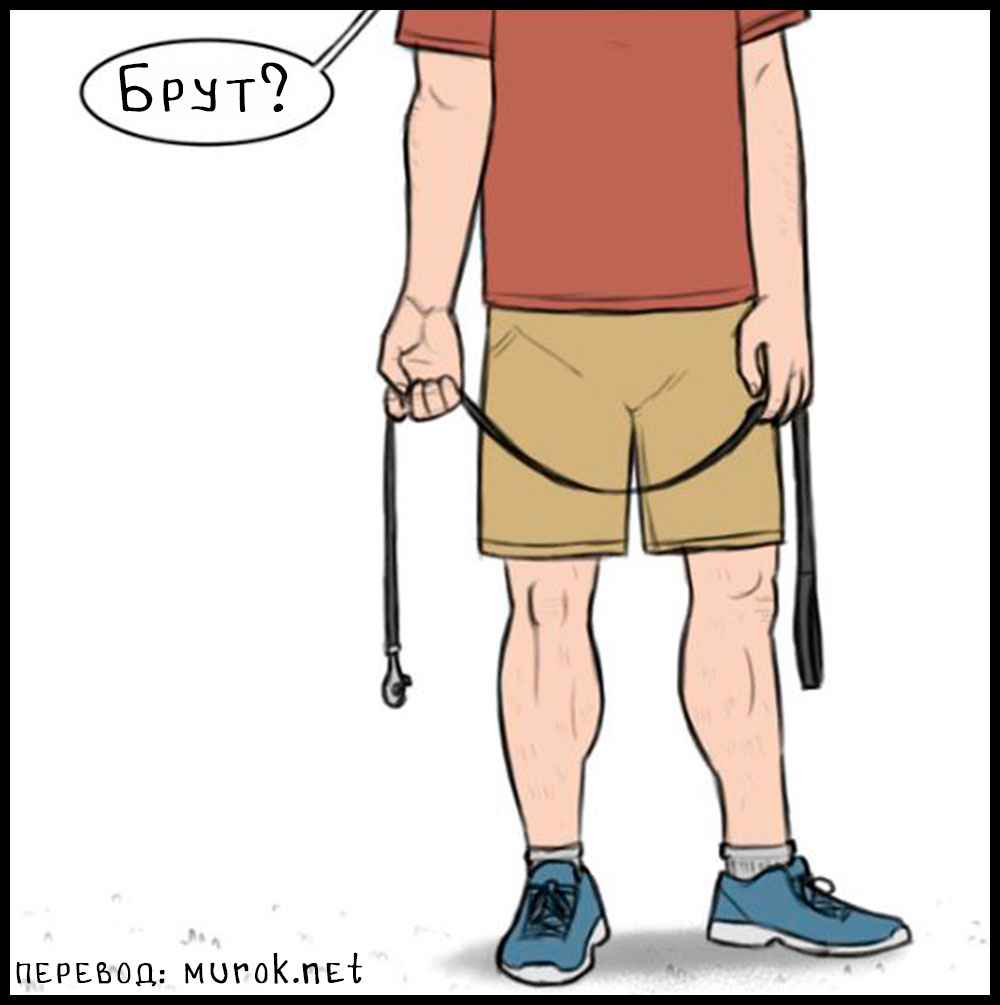 брут и пикси