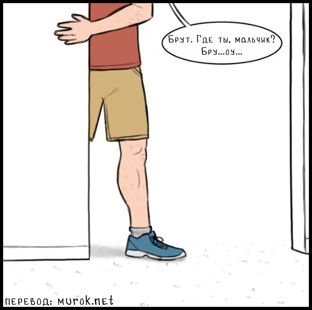 брут и пикси