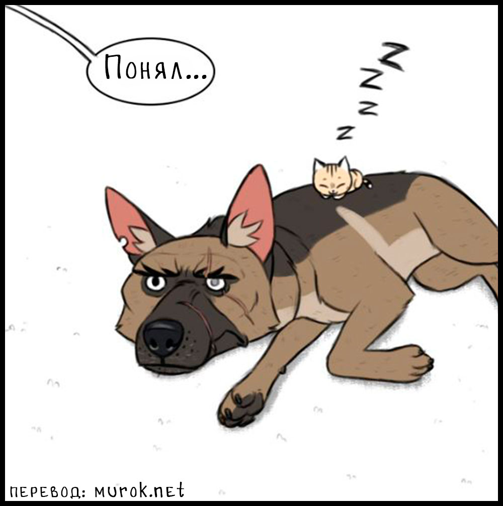 брут и пикси