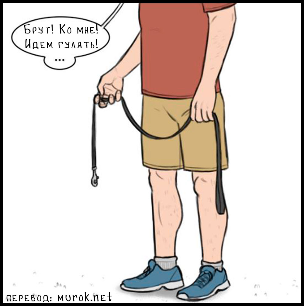 брут и пикси