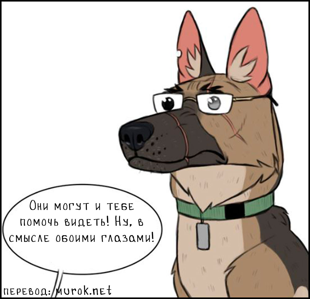 брут и пикси