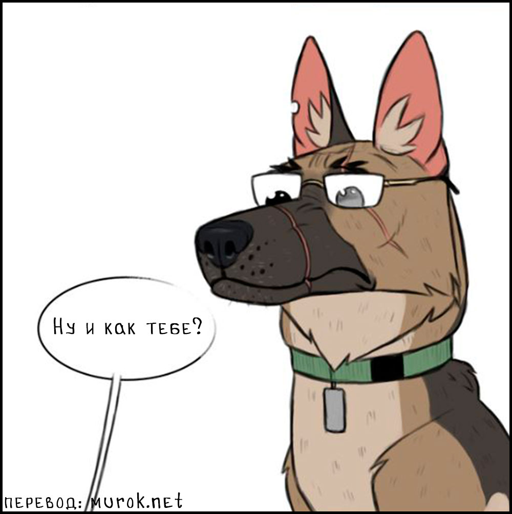 брут и пикси