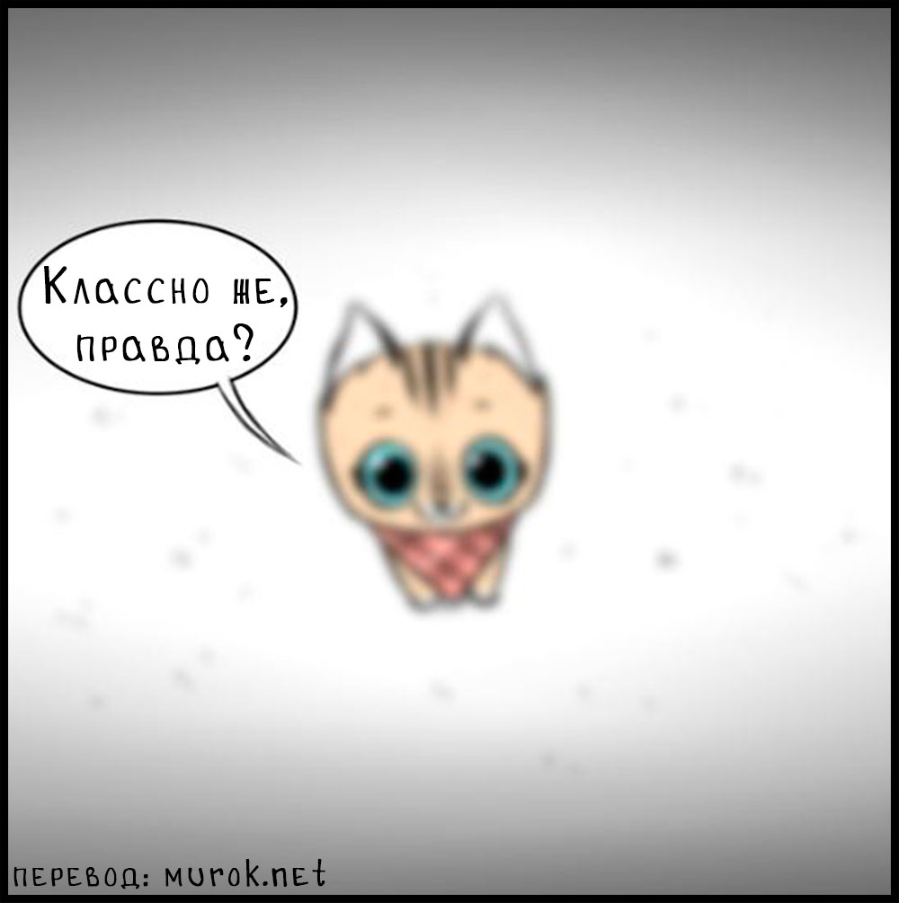 брут и пикси