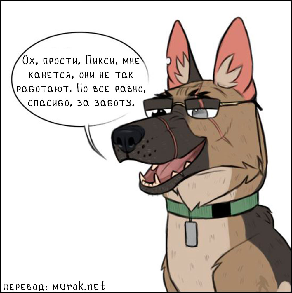 брут и пикси