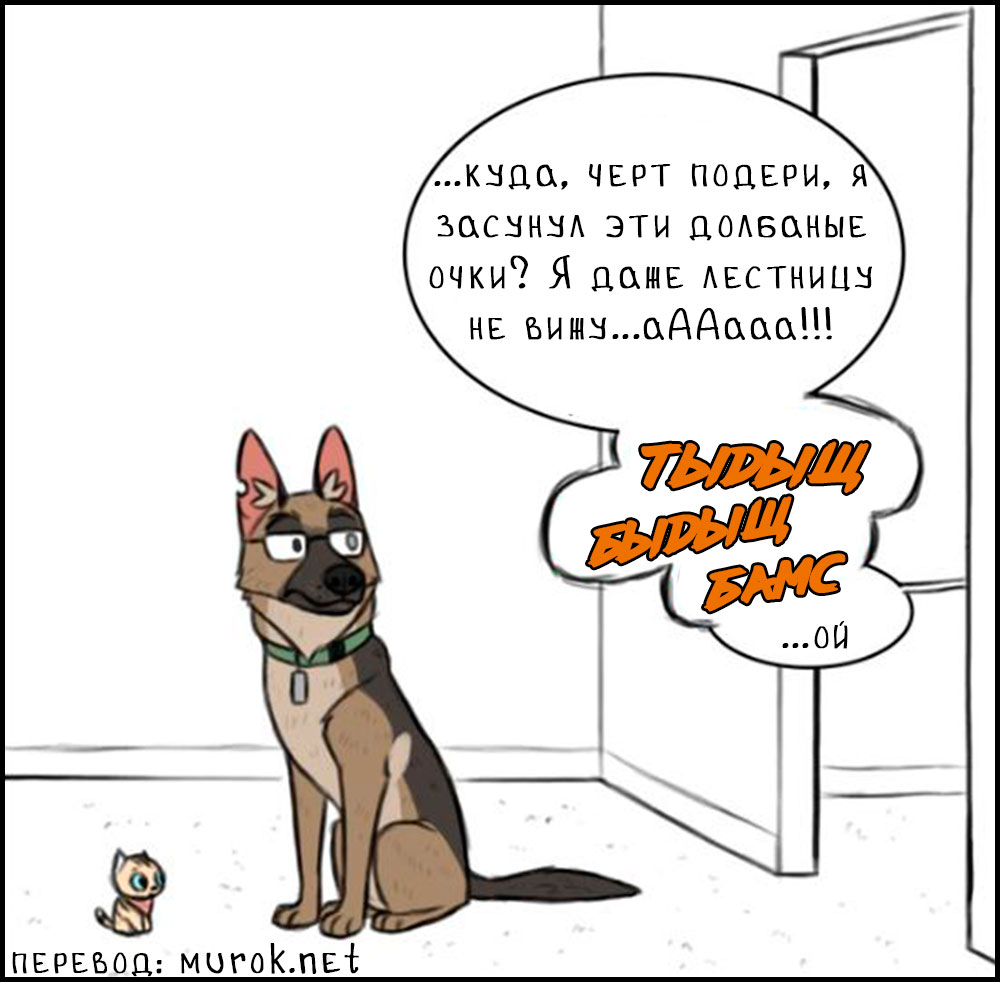 брут и пикси