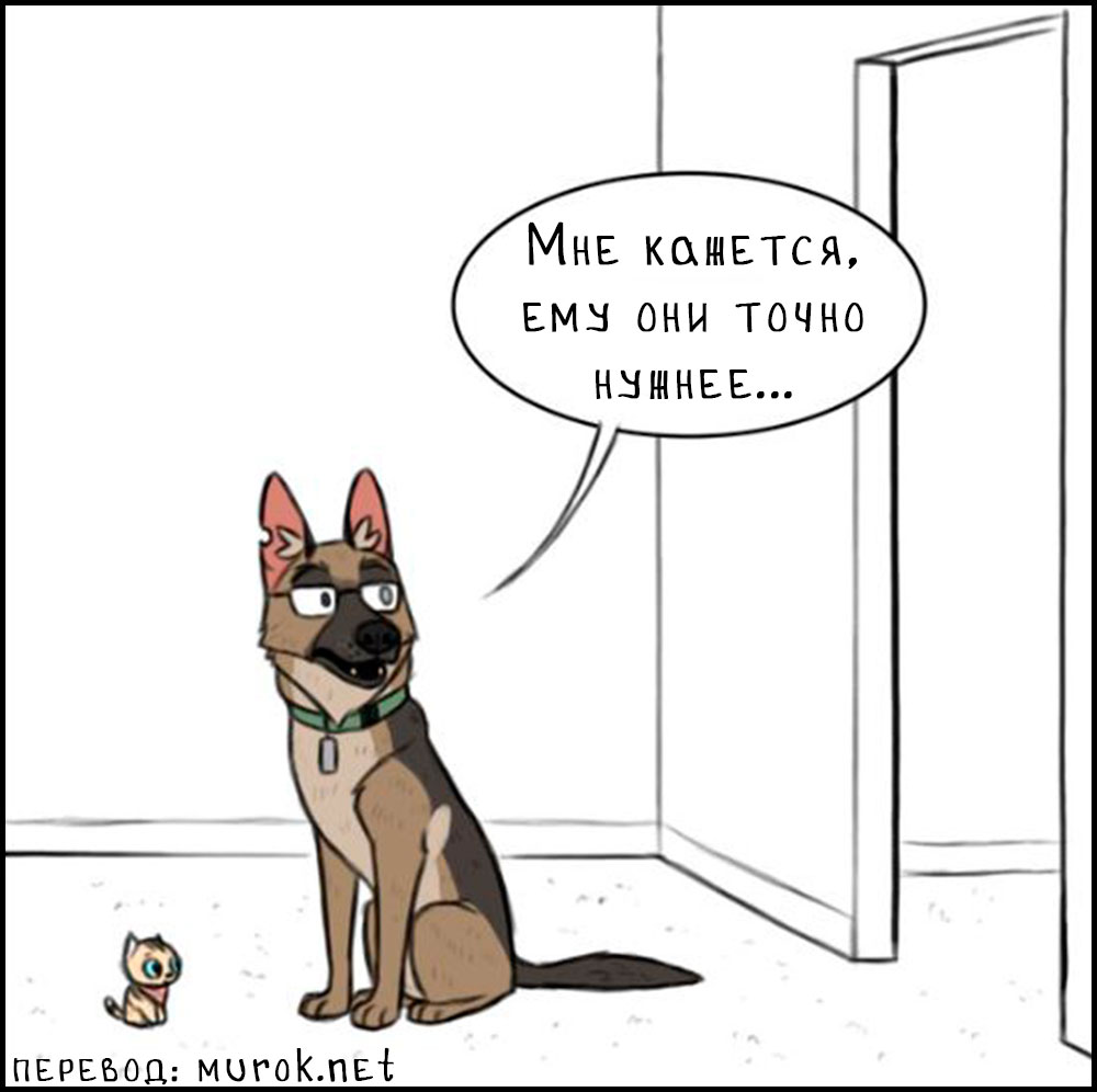 брут и пикси