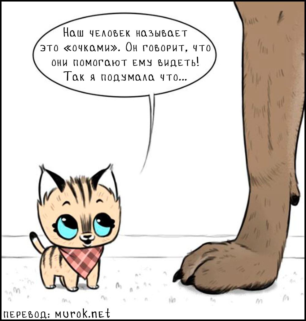 брут и пикси