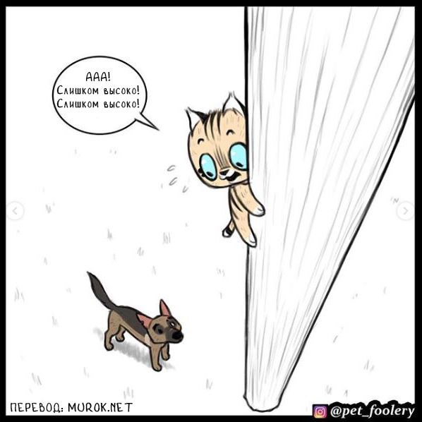 брут и пикси