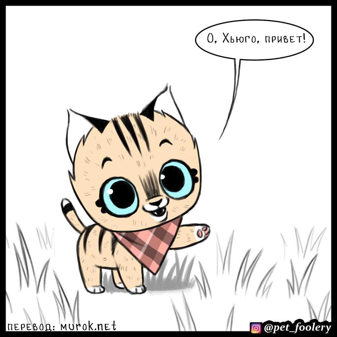 брут и пикси