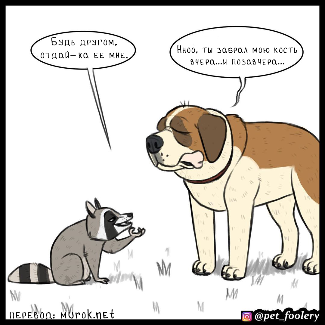 брут и пикси