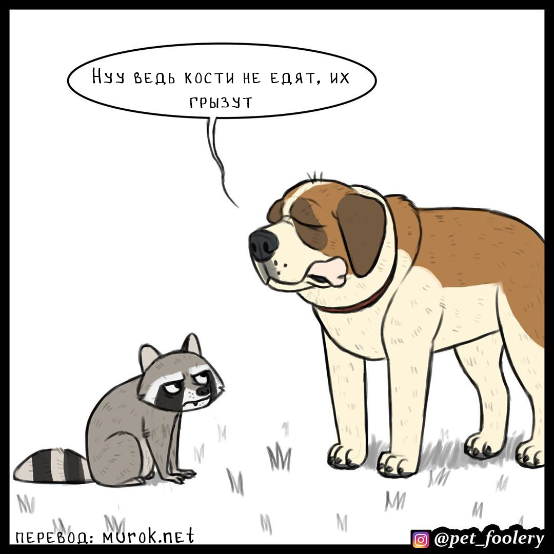 брут и пикси