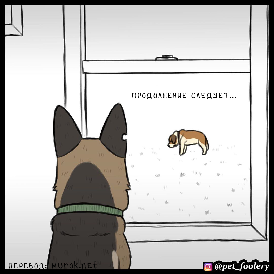 брут и пикси