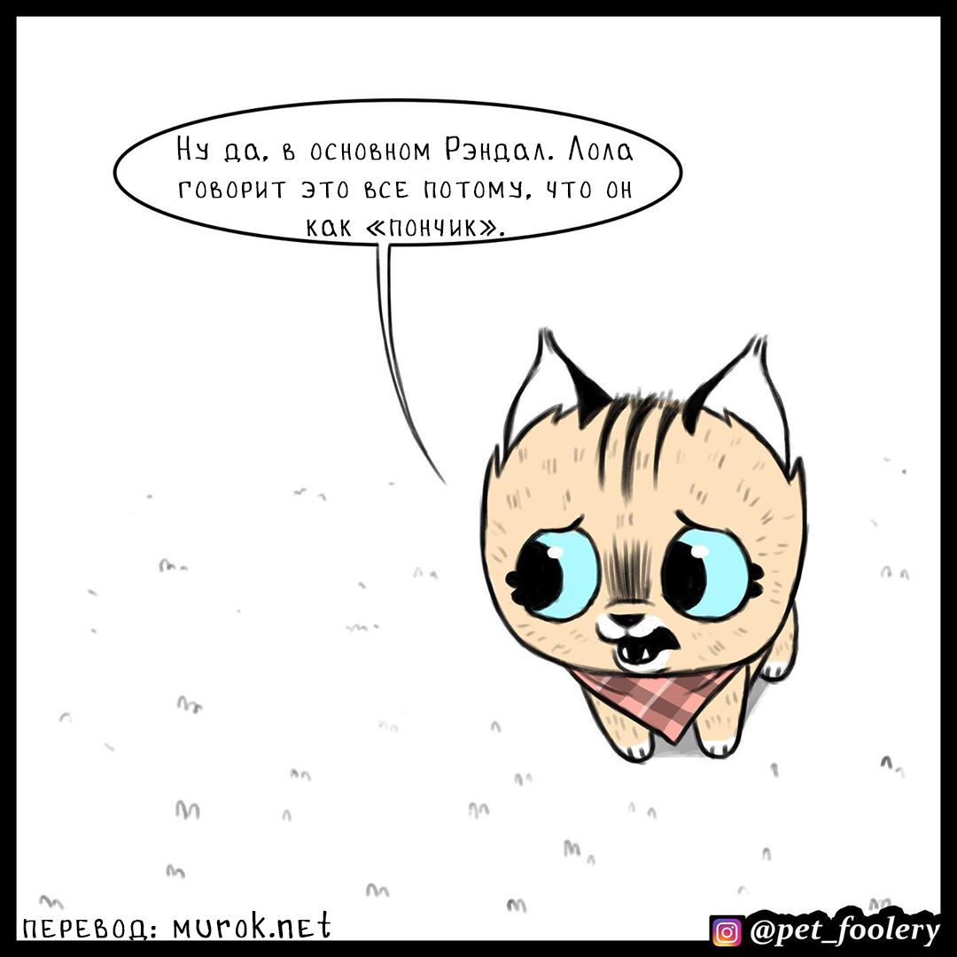 брут и пикси