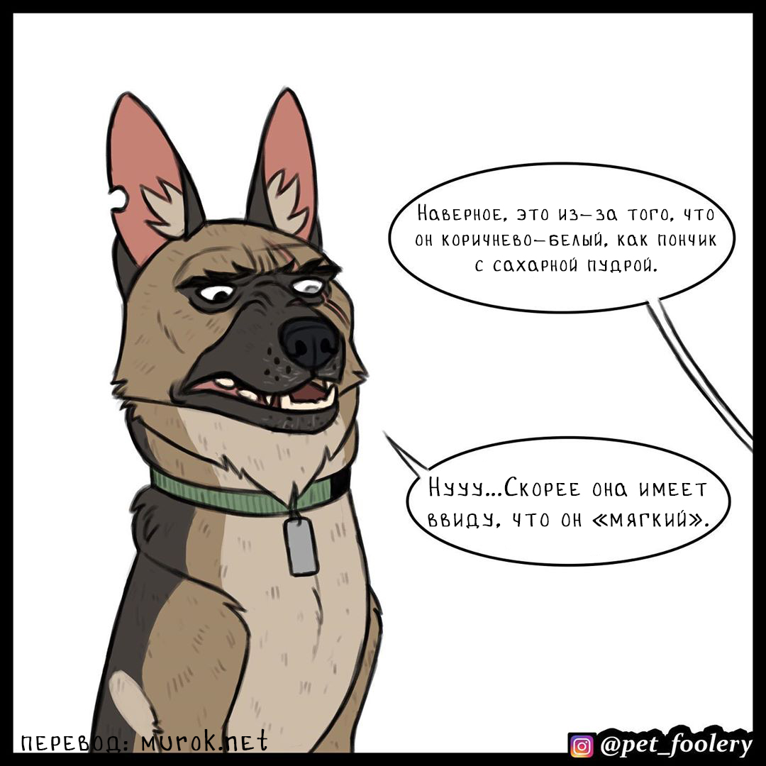 брут и пикси