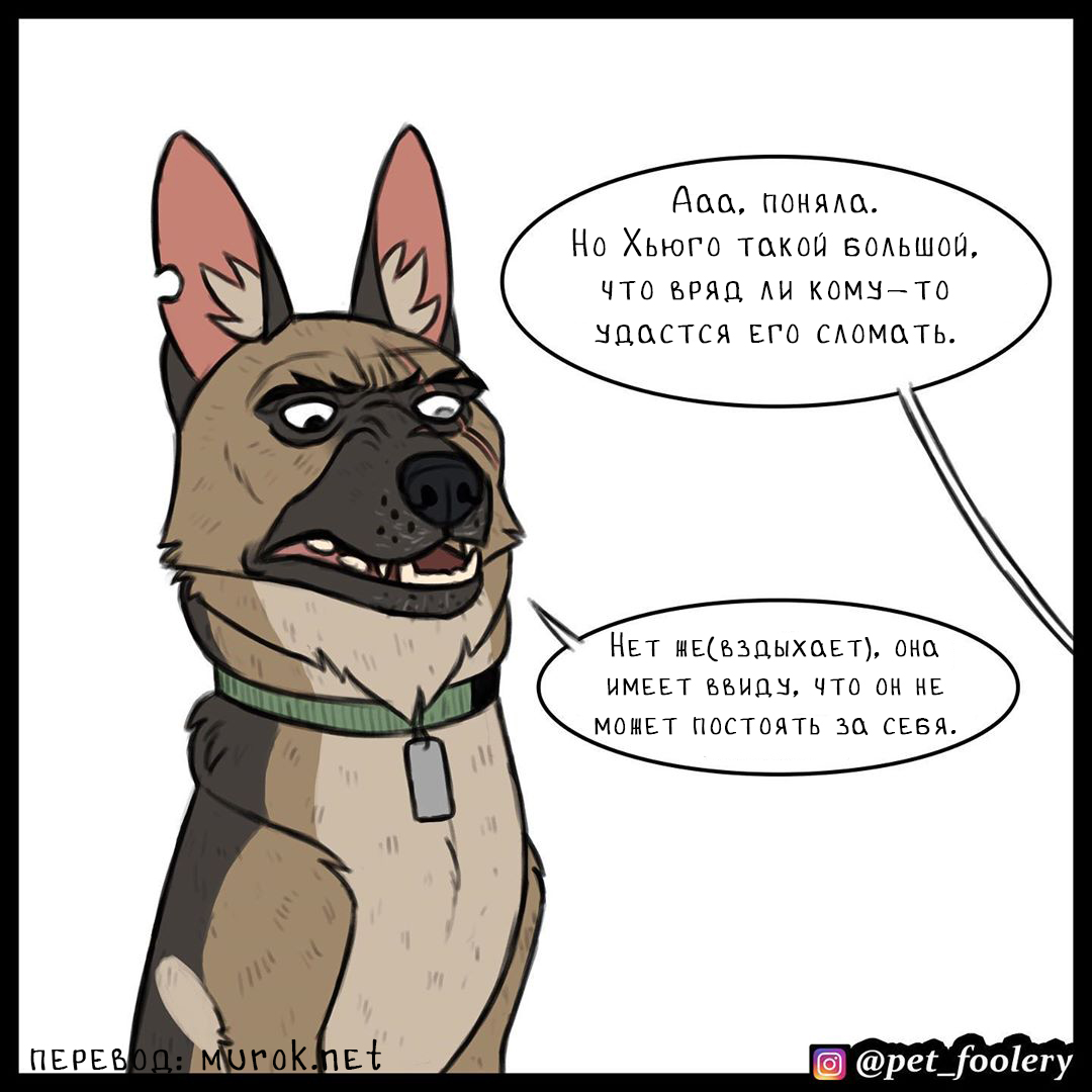 брут и пикси