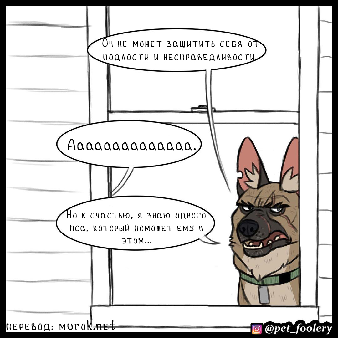 брут и пикси