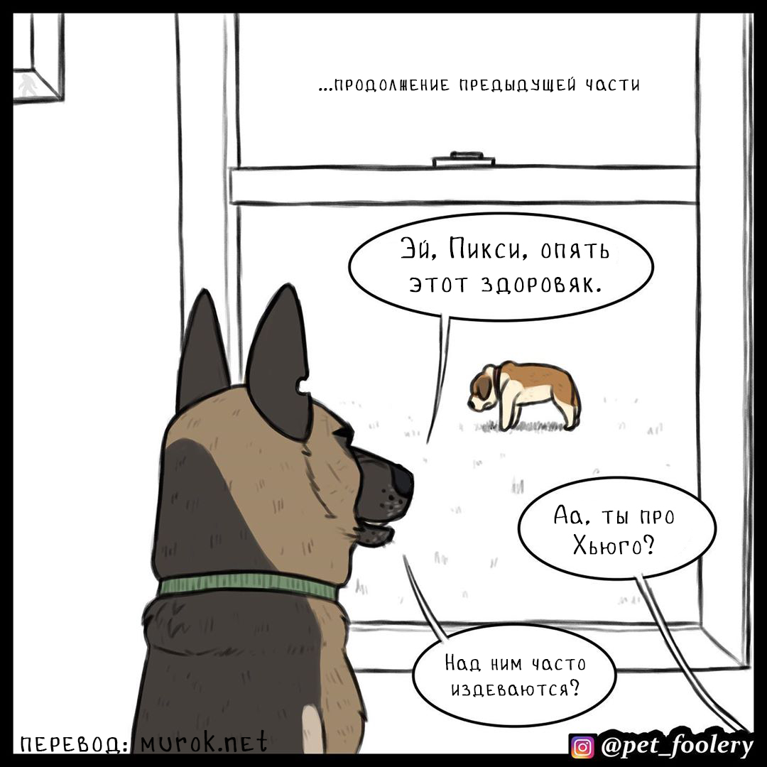 брут и пикси