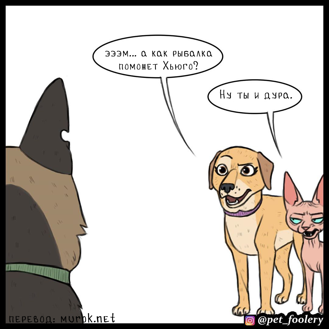 брут и пикси