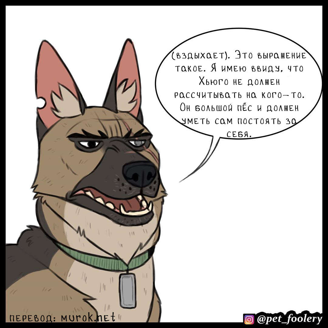 брут и пикси