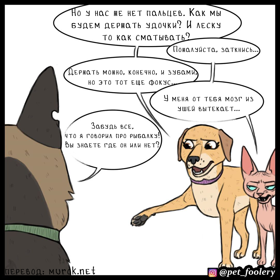 брут и пикси