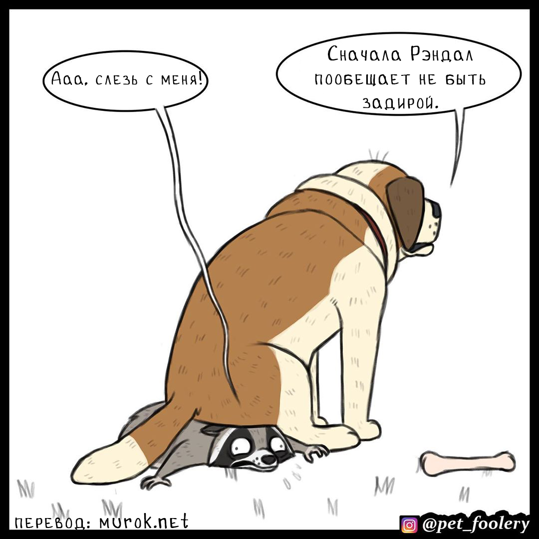 брут и пикси