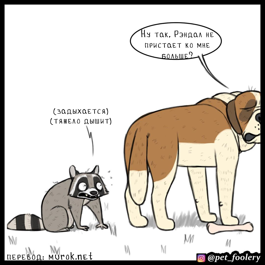 брут и пикси