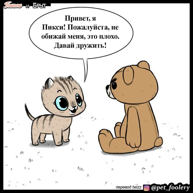 брут и пикси