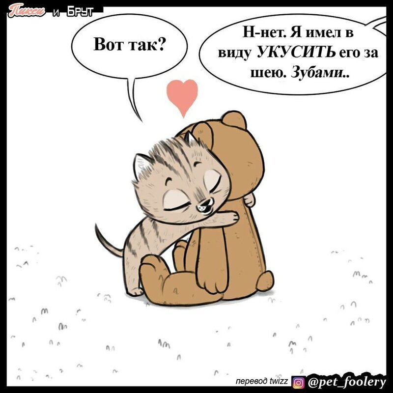 брут и пикси