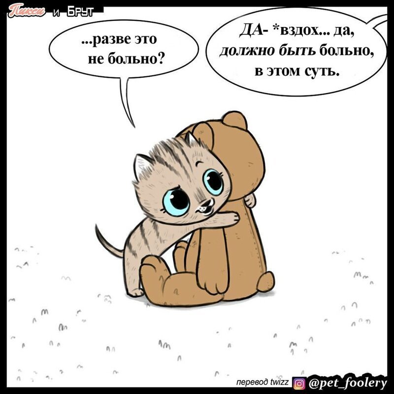 брут и пикси