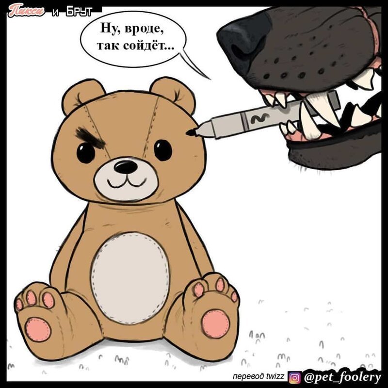 брут и пикси