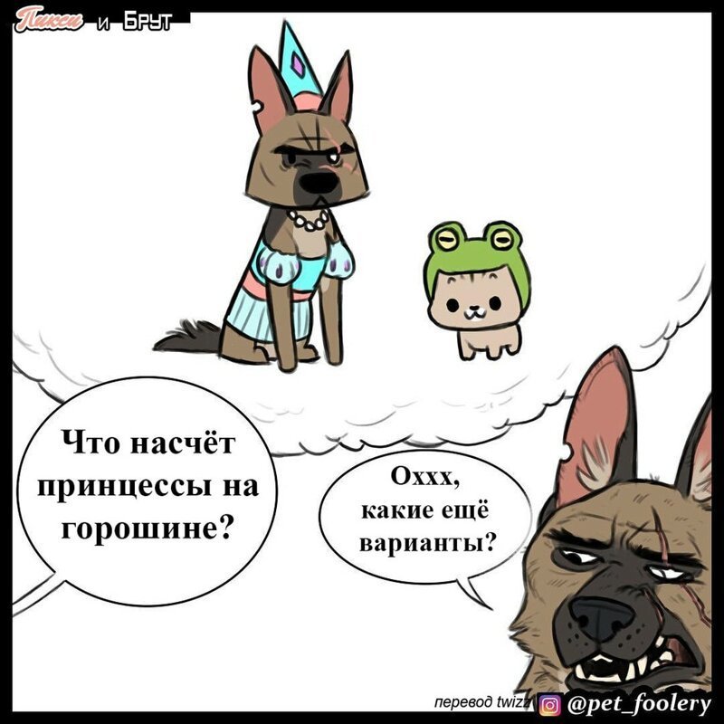 брут и пикси