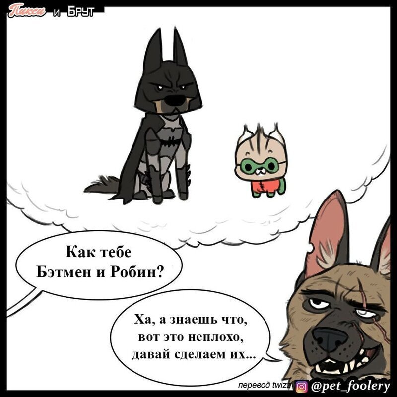 брут и пикси