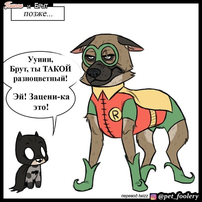 брут и пикси