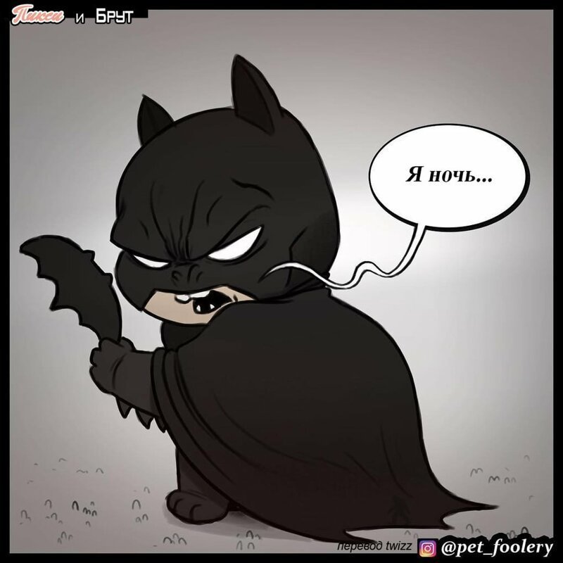 брут и пикси