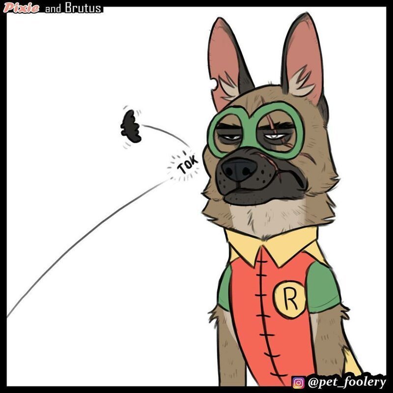 брут и пикси