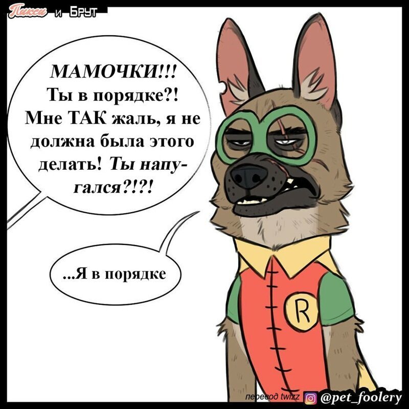 брут и пикси