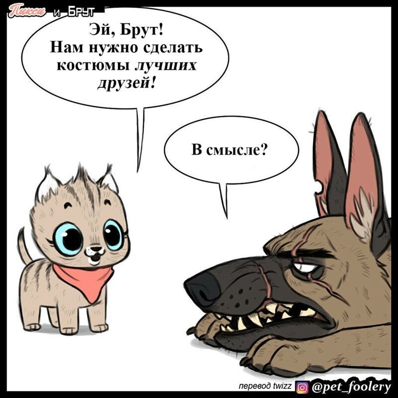 брут и пикси