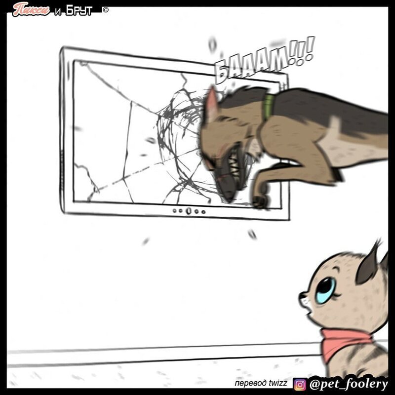 брут и пикси