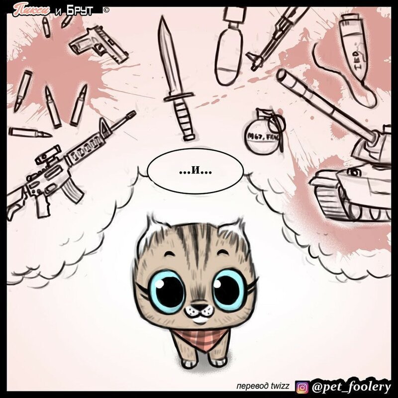 брут и пикси