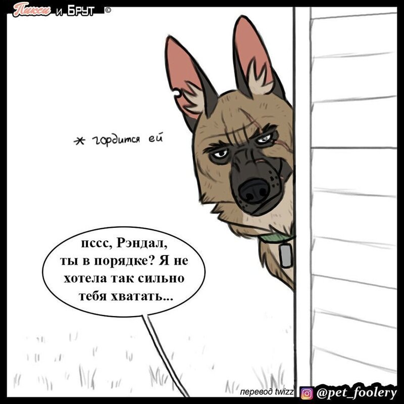 брут и пикси